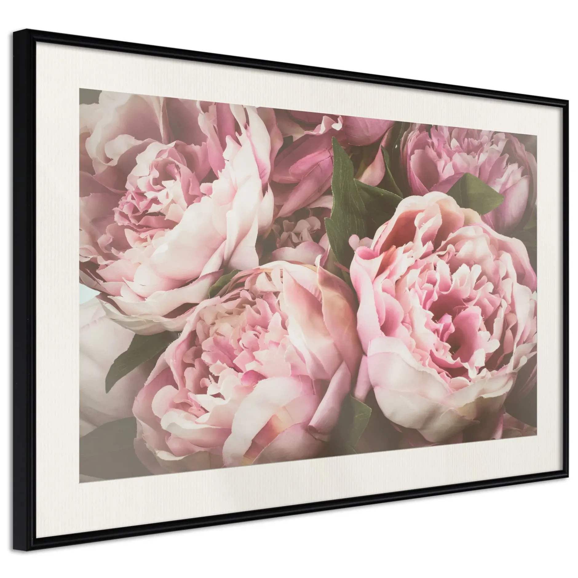Poster 'Pink Peonies'