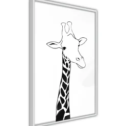 Poster 'Plaid Neck'