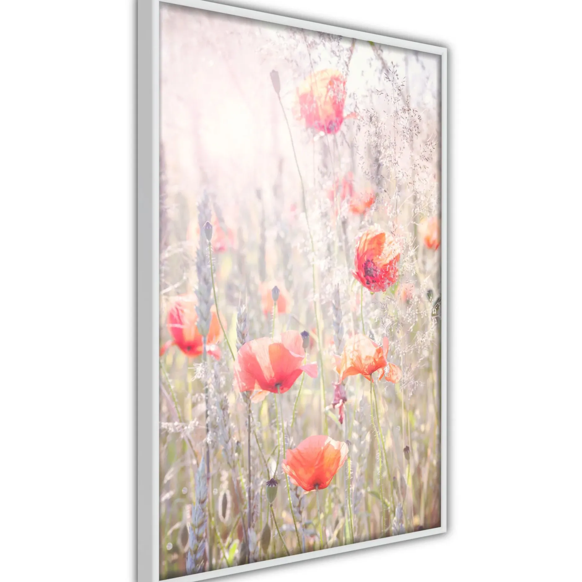 Poster 'Poppies'