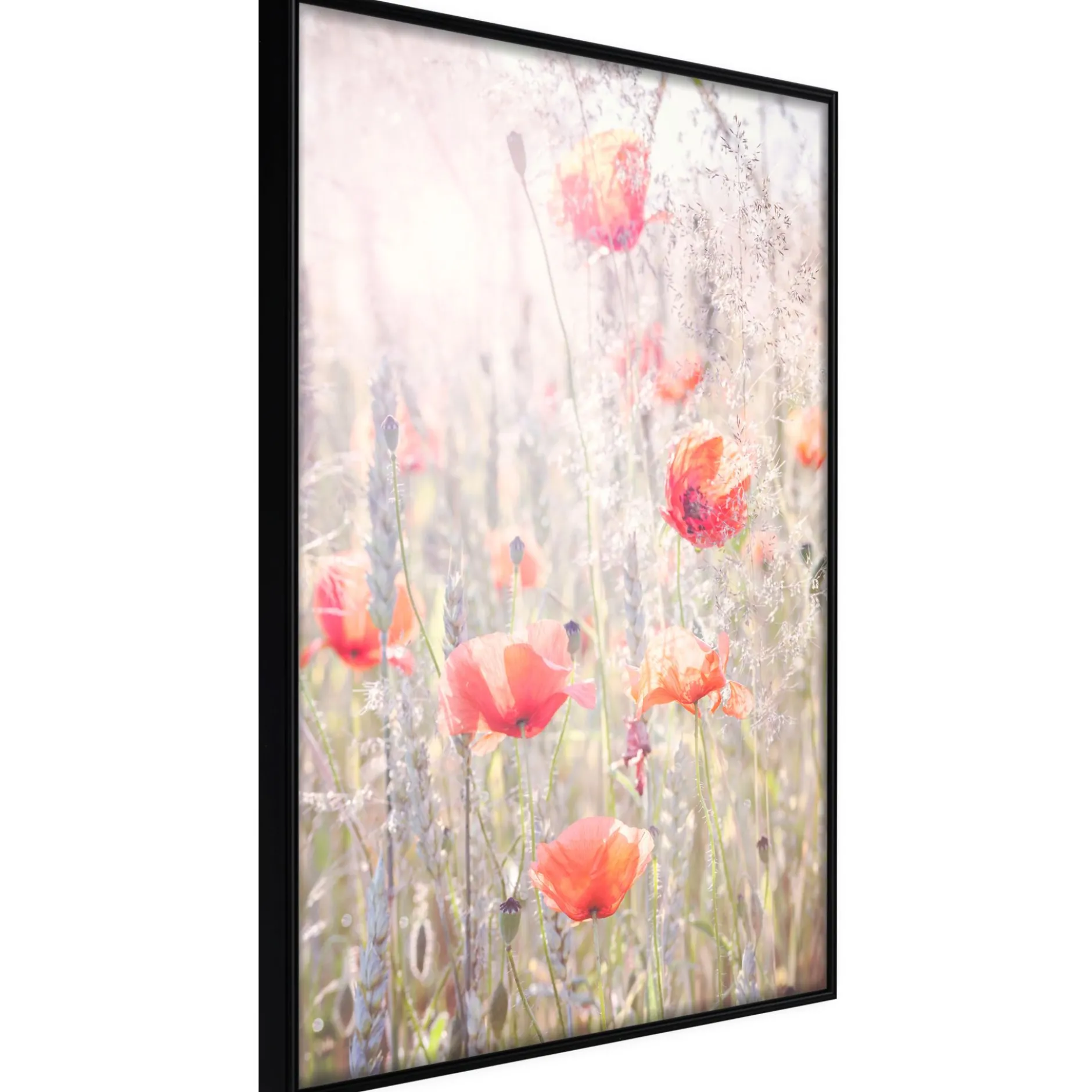Poster 'Poppies'