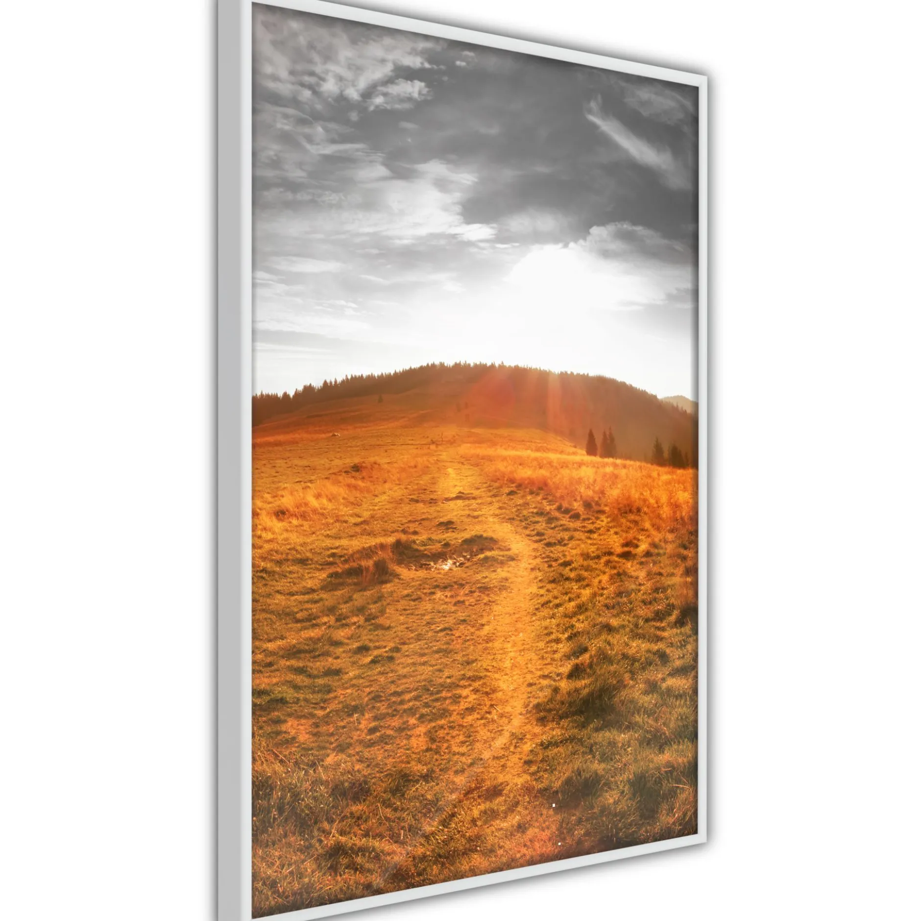 Poster 'Prairie'