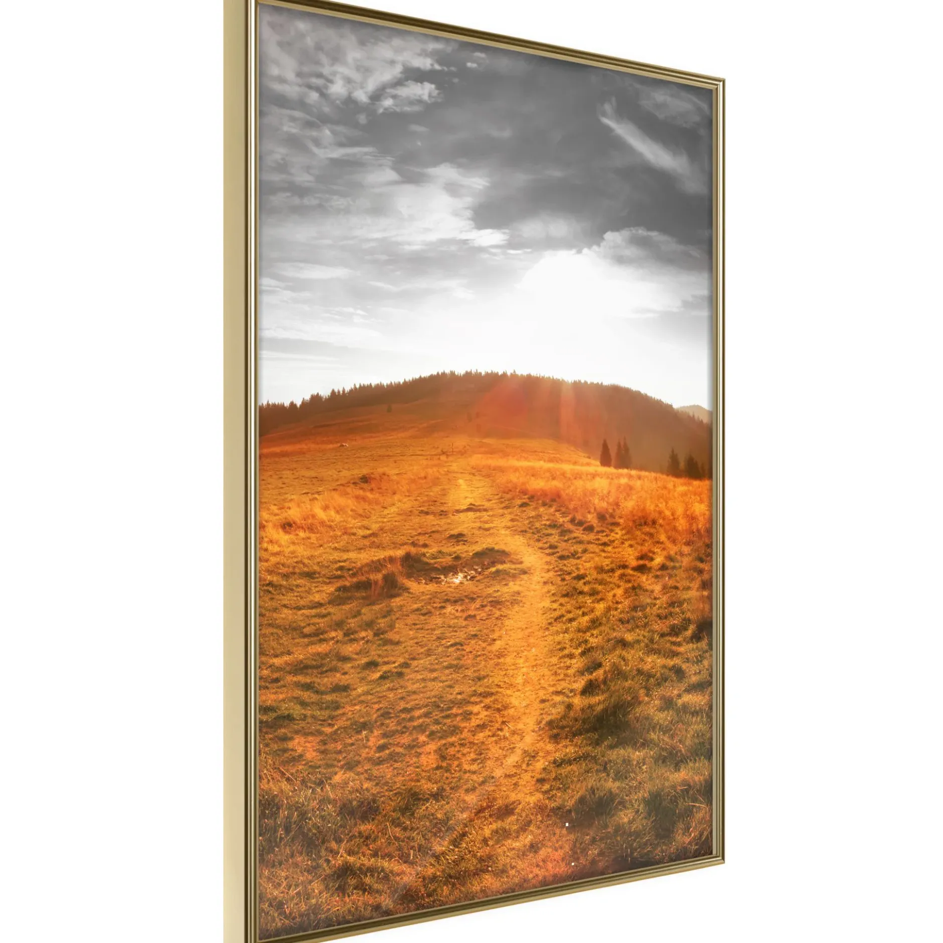 Poster 'Prairie'