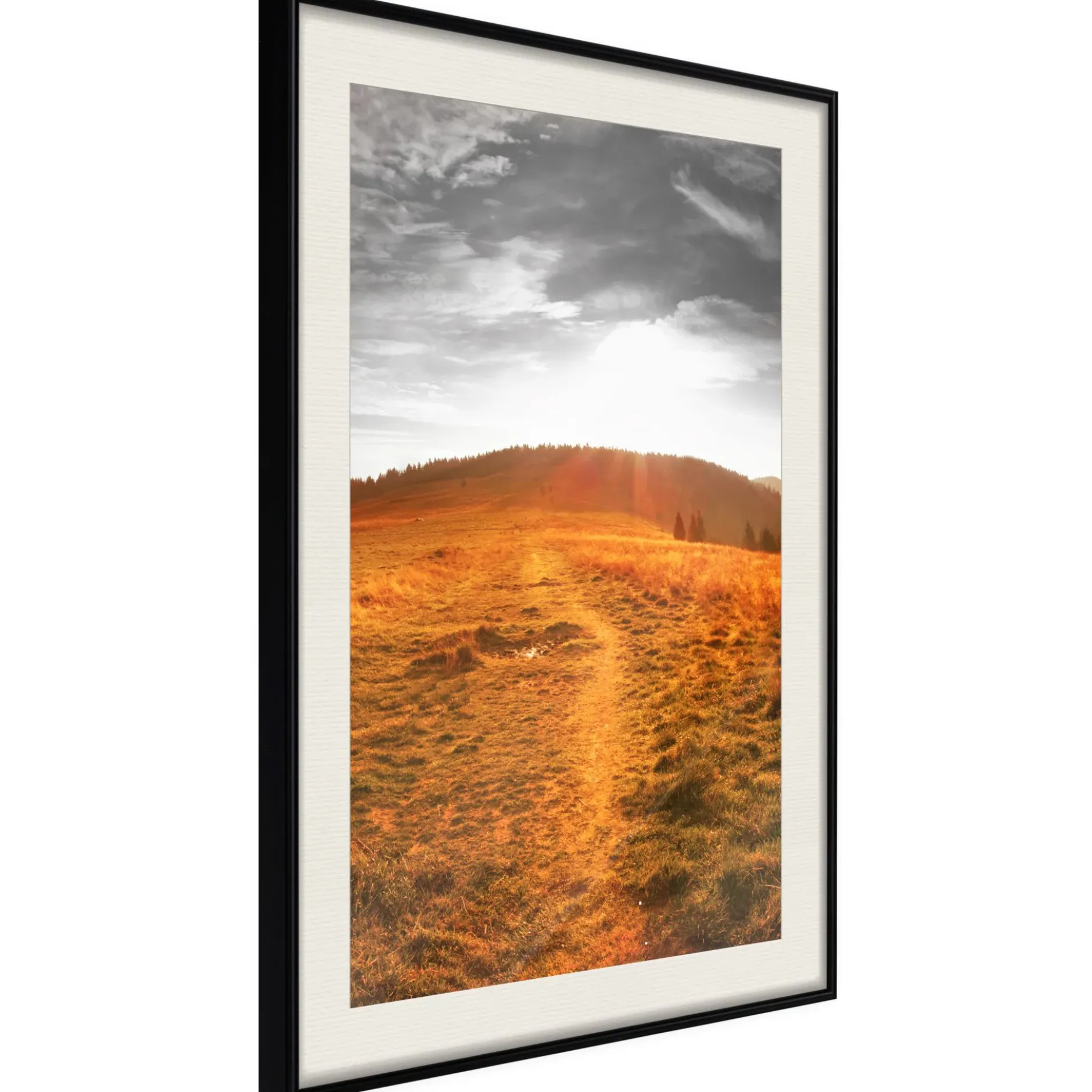 Poster 'Prairie'