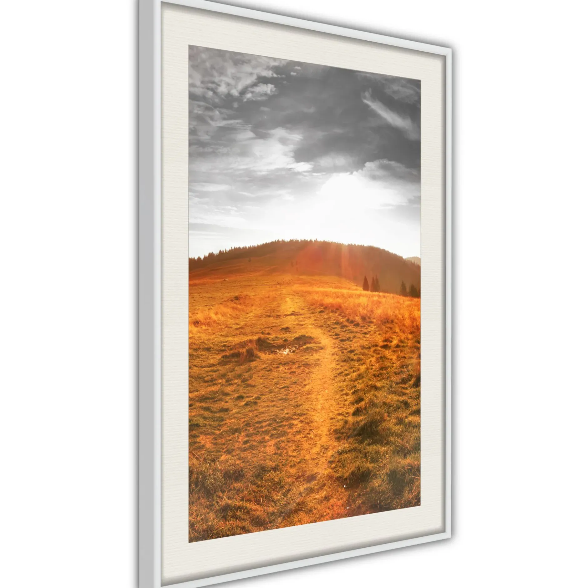 Poster 'Prairie'