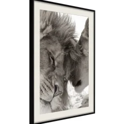Poster 'Predatory Couple'