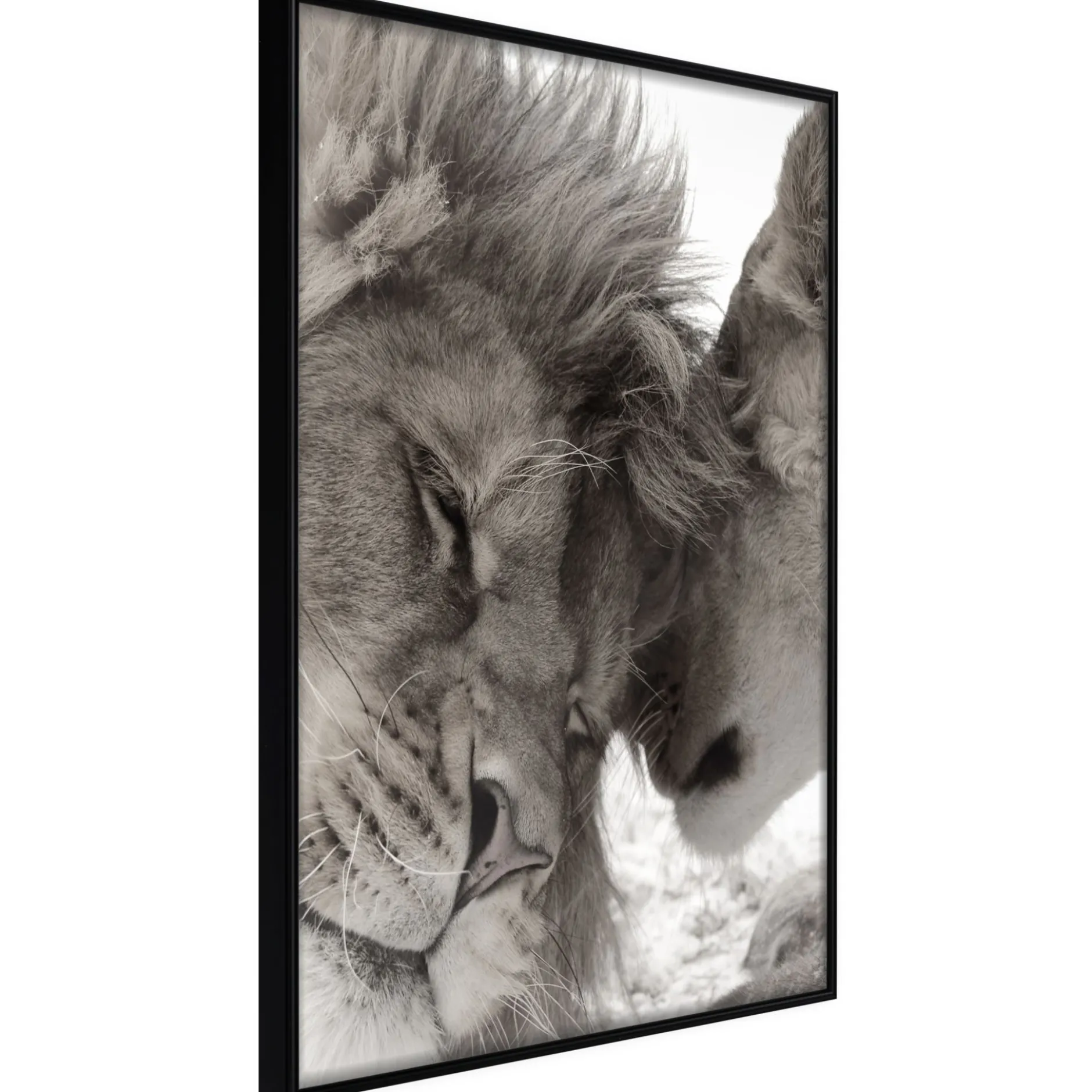 Poster 'Predatory Couple'