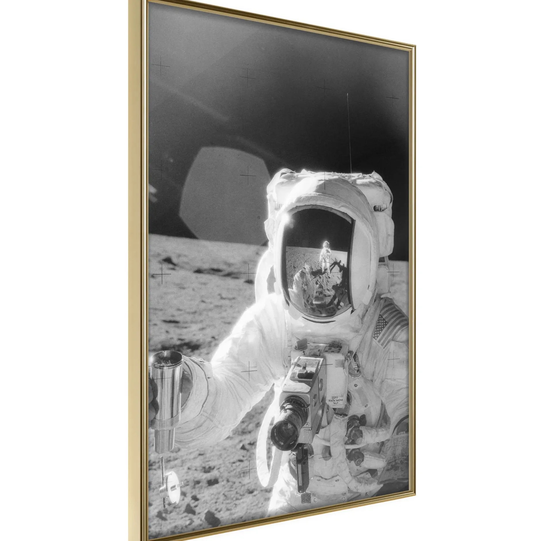 Poster 'Profession of Astronaut'