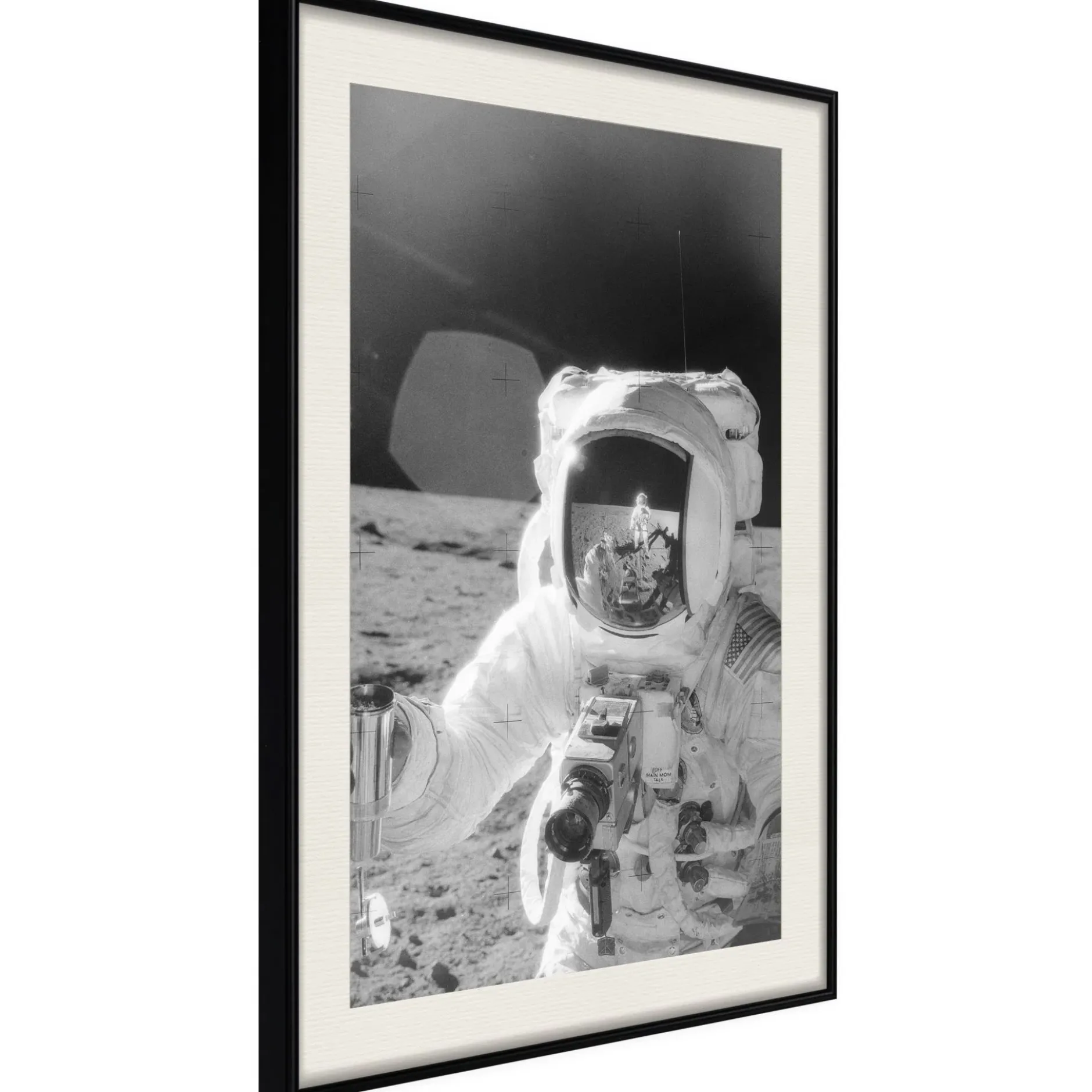Poster 'Profession of Astronaut'