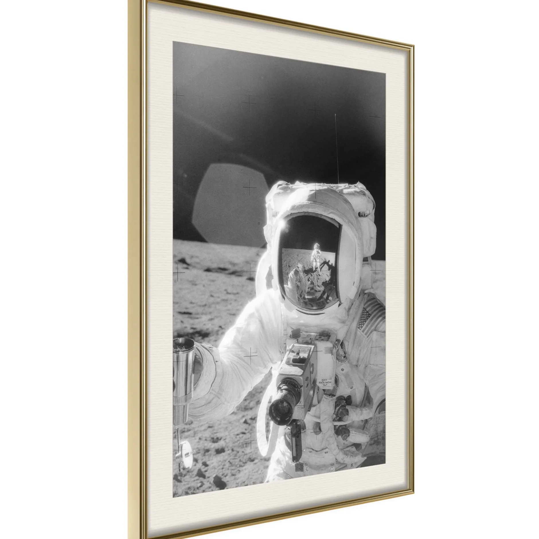 Poster 'Profession of Astronaut'