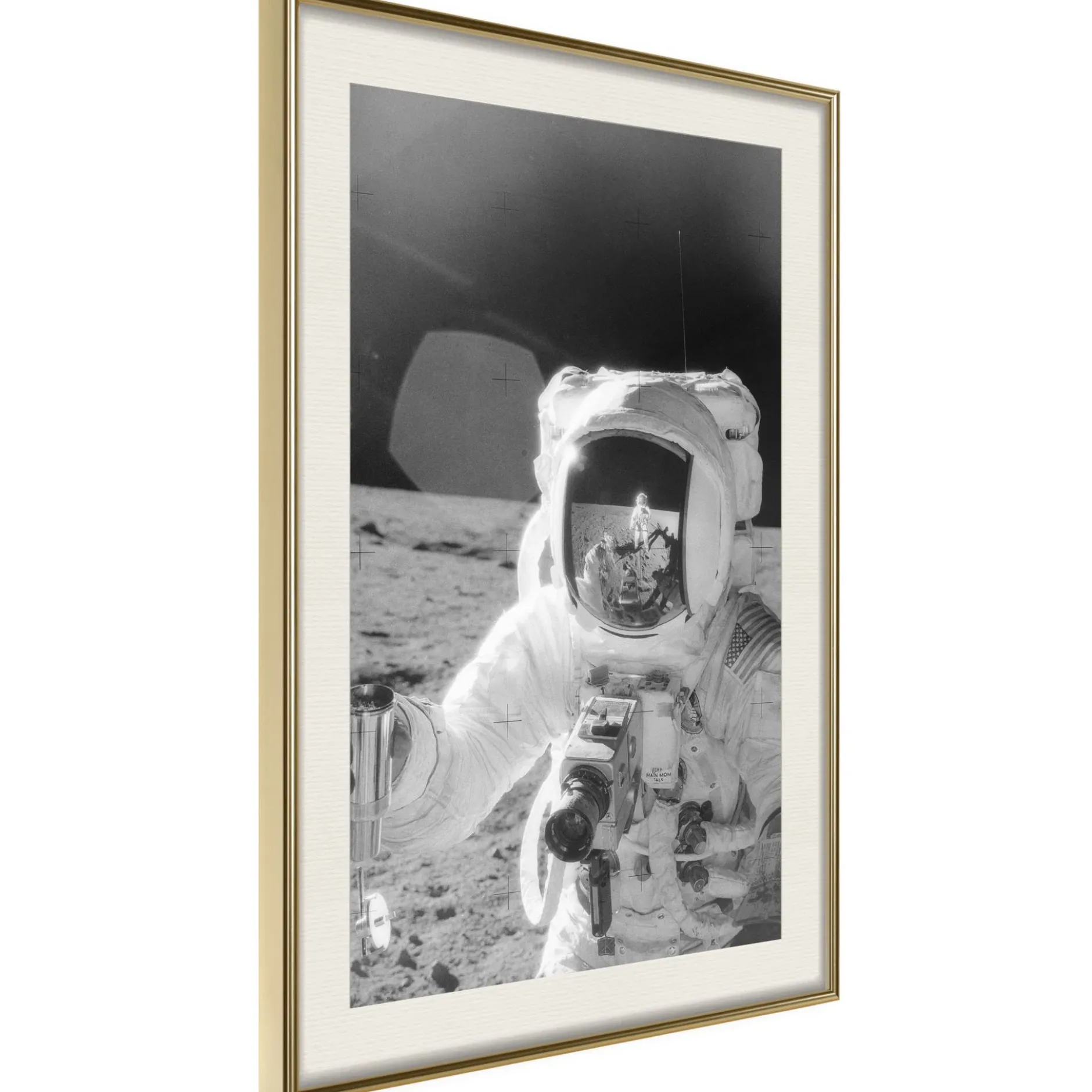 Poster 'Profession of Astronaut'