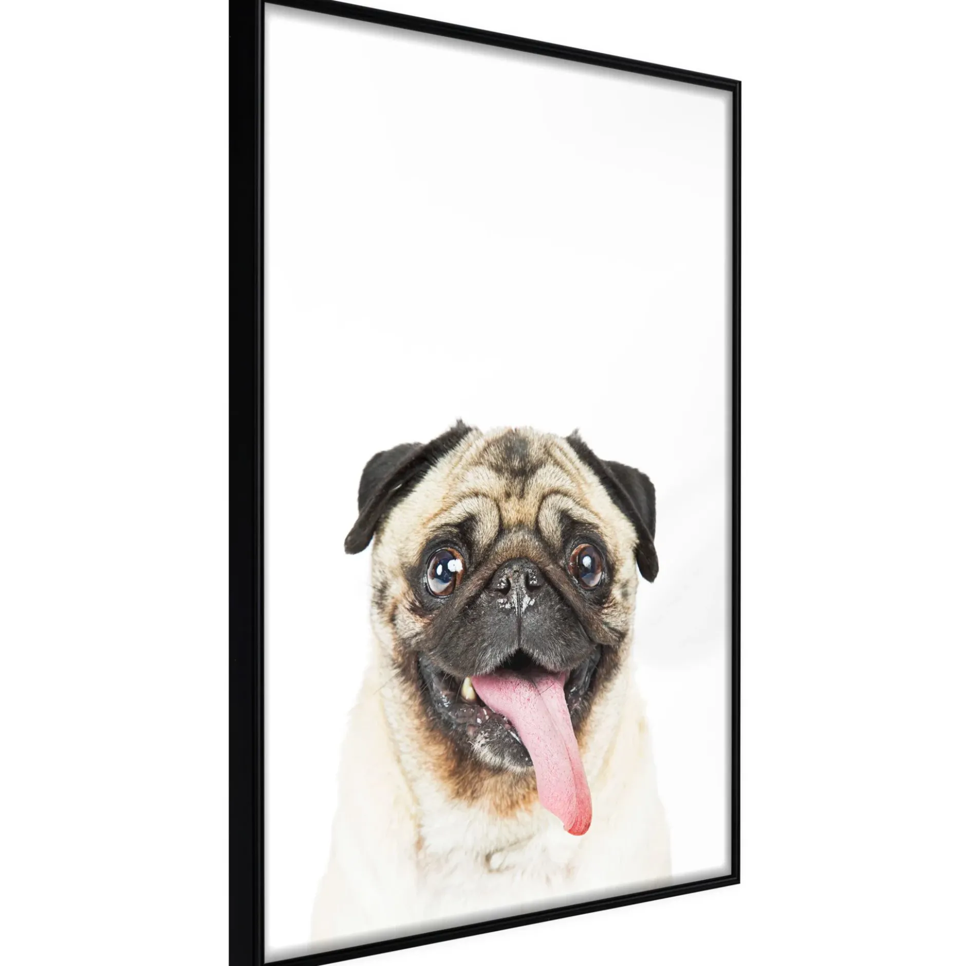 Poster 'Pug'