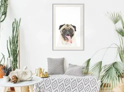 Poster 'Pug'