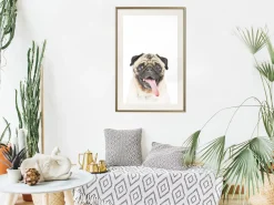 Poster 'Pug'