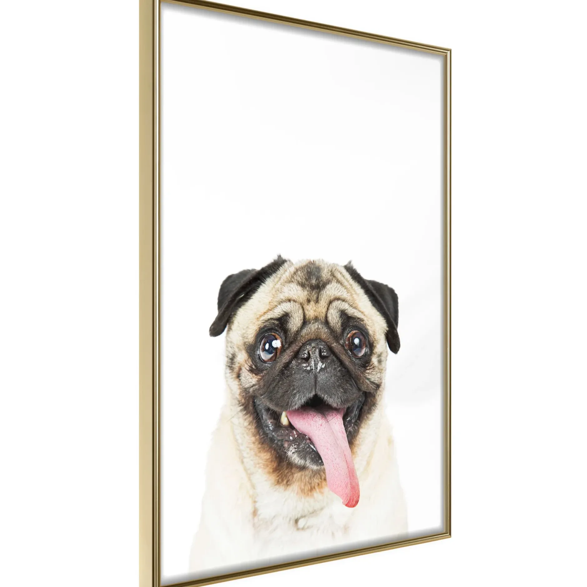 Poster 'Pug'