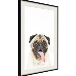 Poster 'Pug'