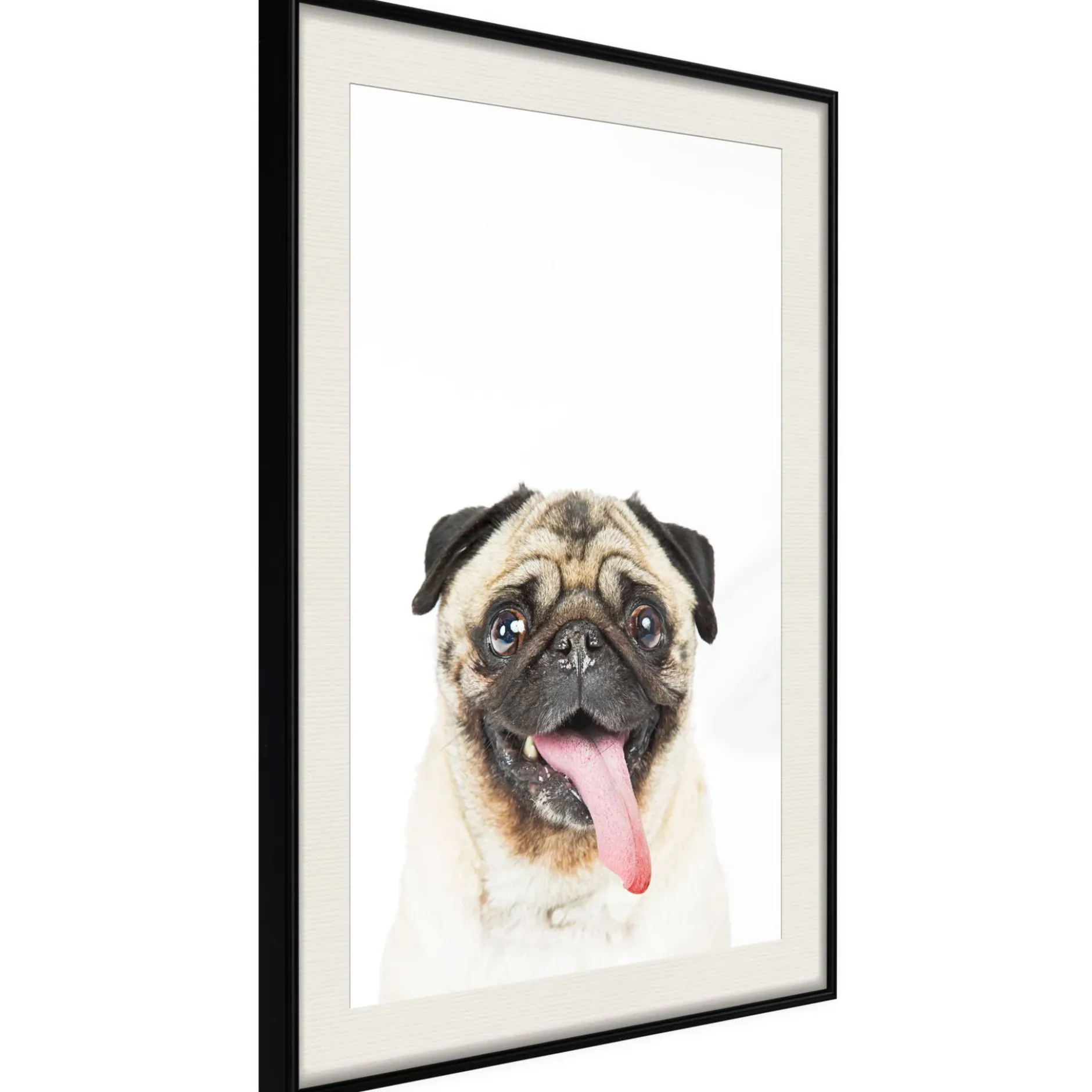 Poster 'Pug'