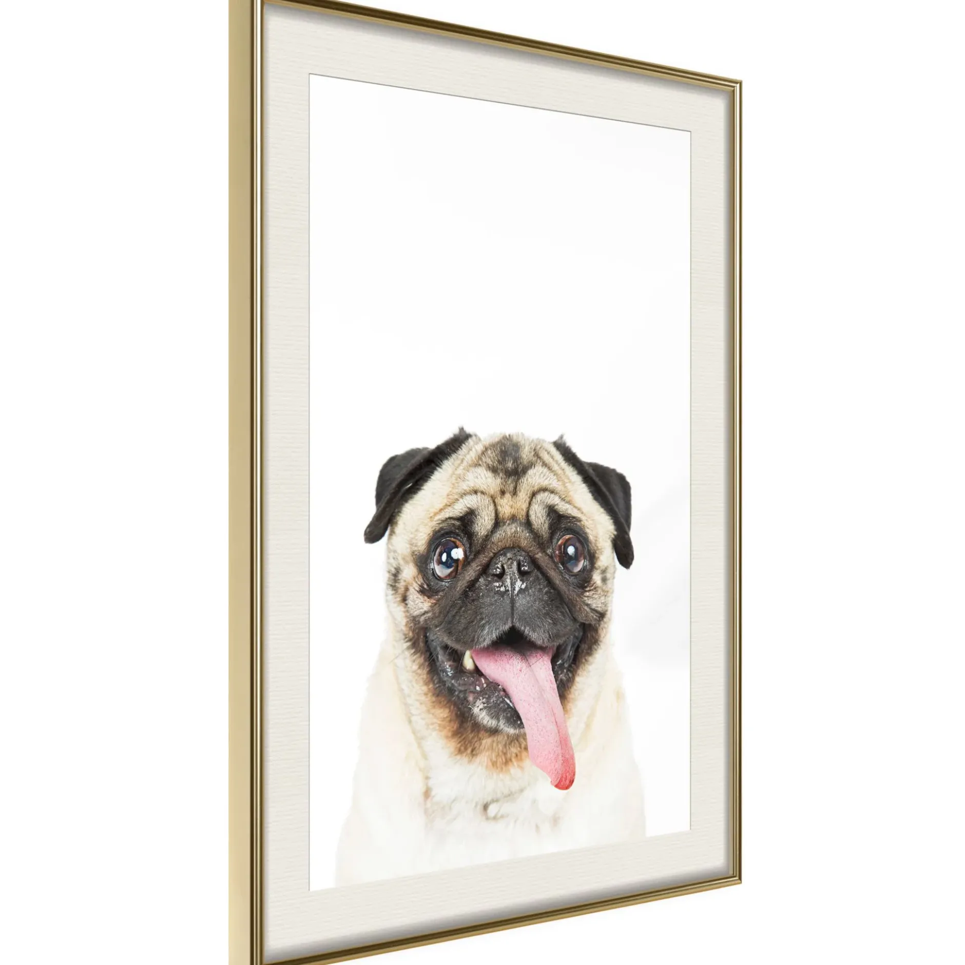 Poster 'Pug'