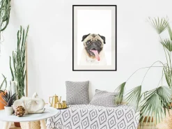 Poster 'Pug'