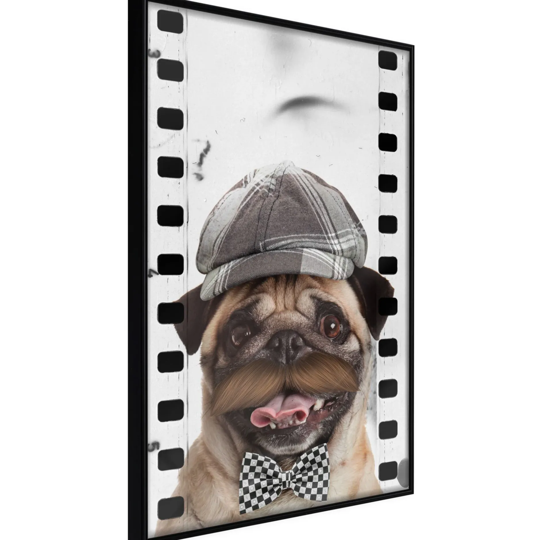 Poster 'Pug In Hat'