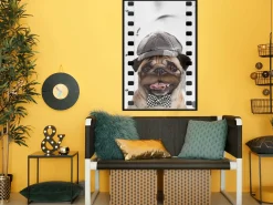 Poster 'Pug In Hat'