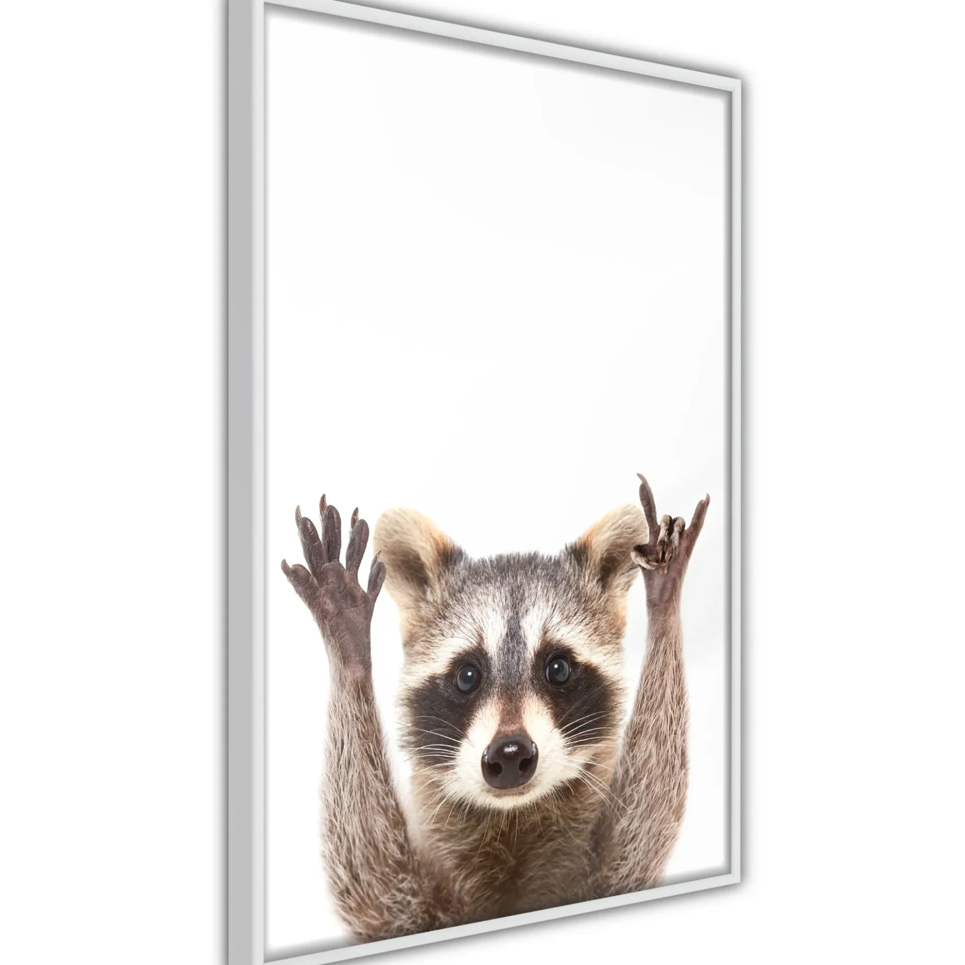 Poster 'Raccoon'