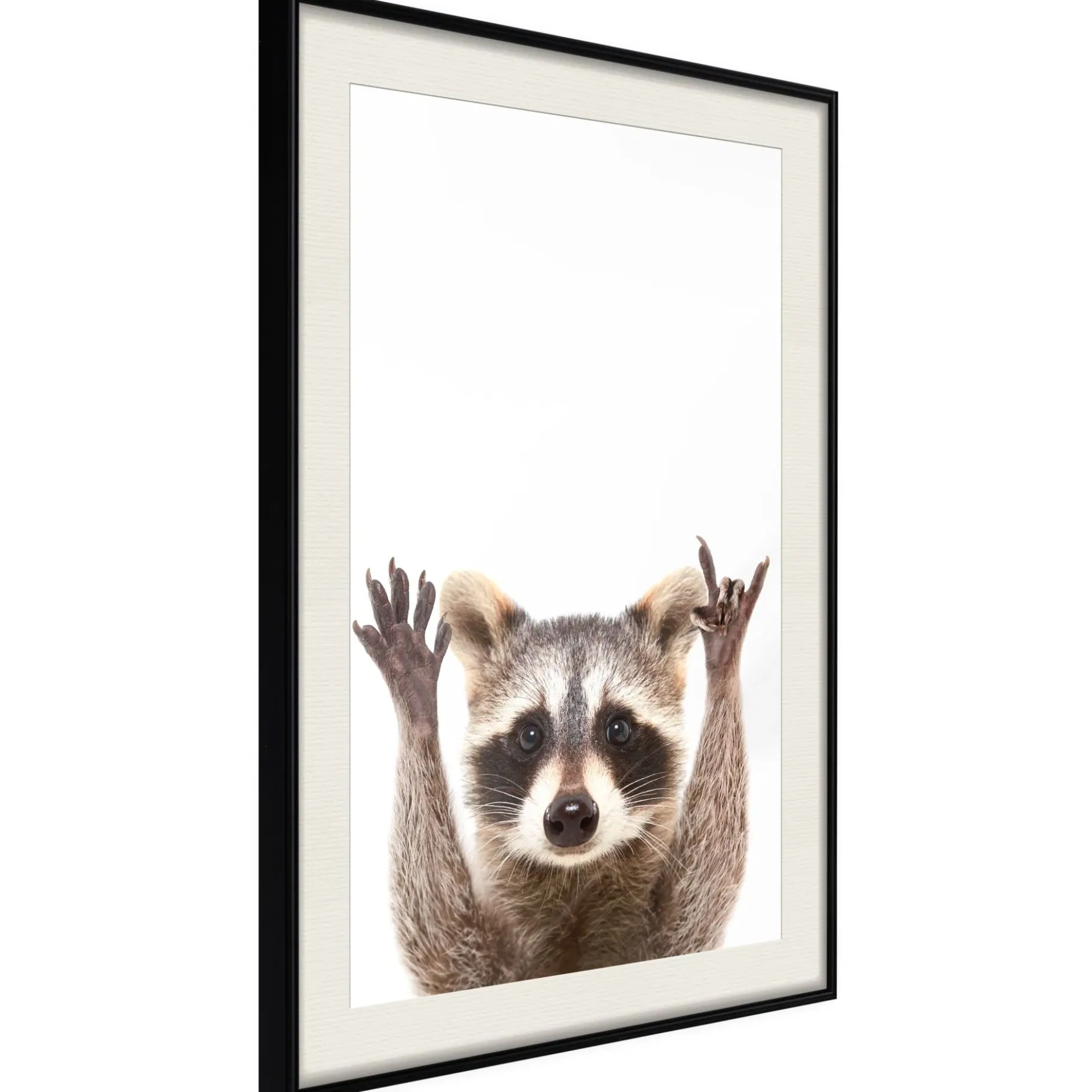 Poster 'Raccoon'