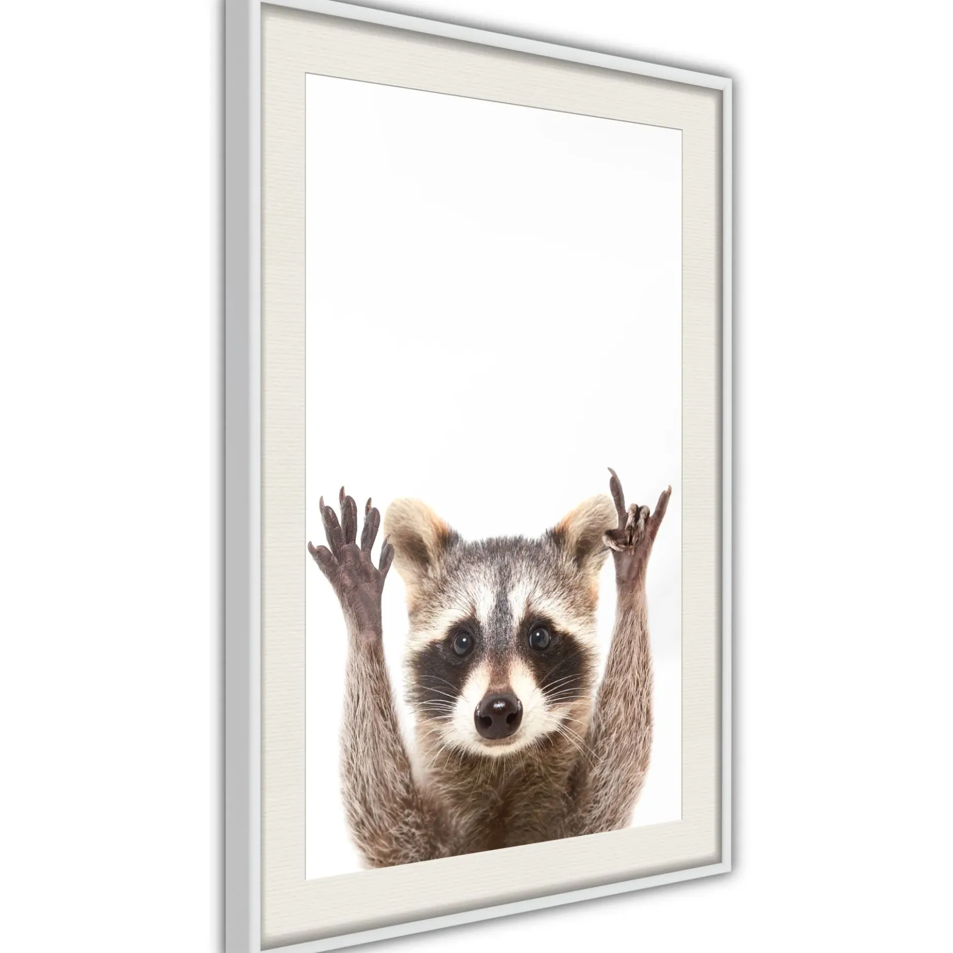 Poster 'Raccoon'