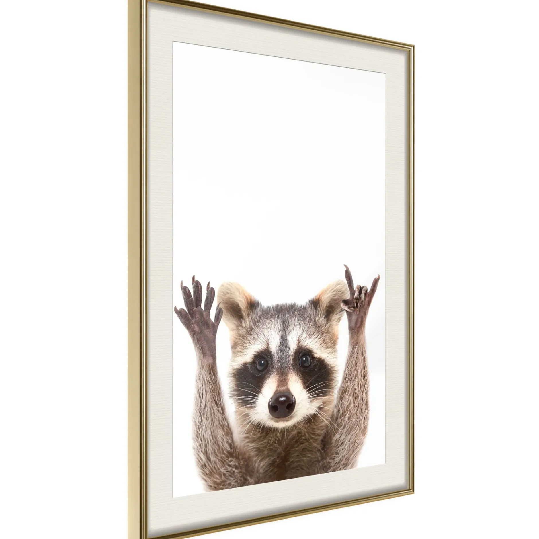 Poster 'Raccoon'