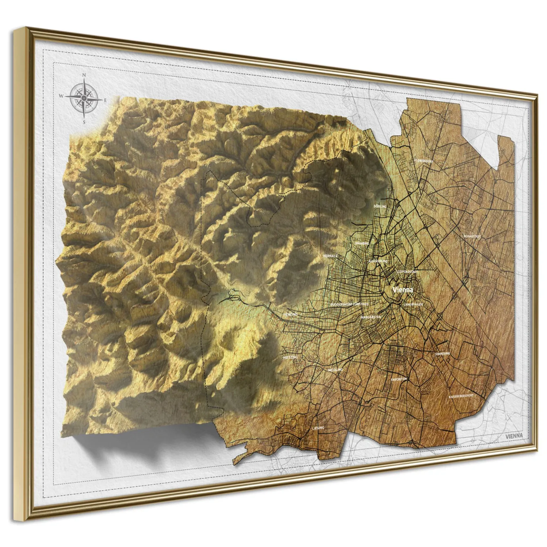 Poster 'Raised Relief Map: Vienna'