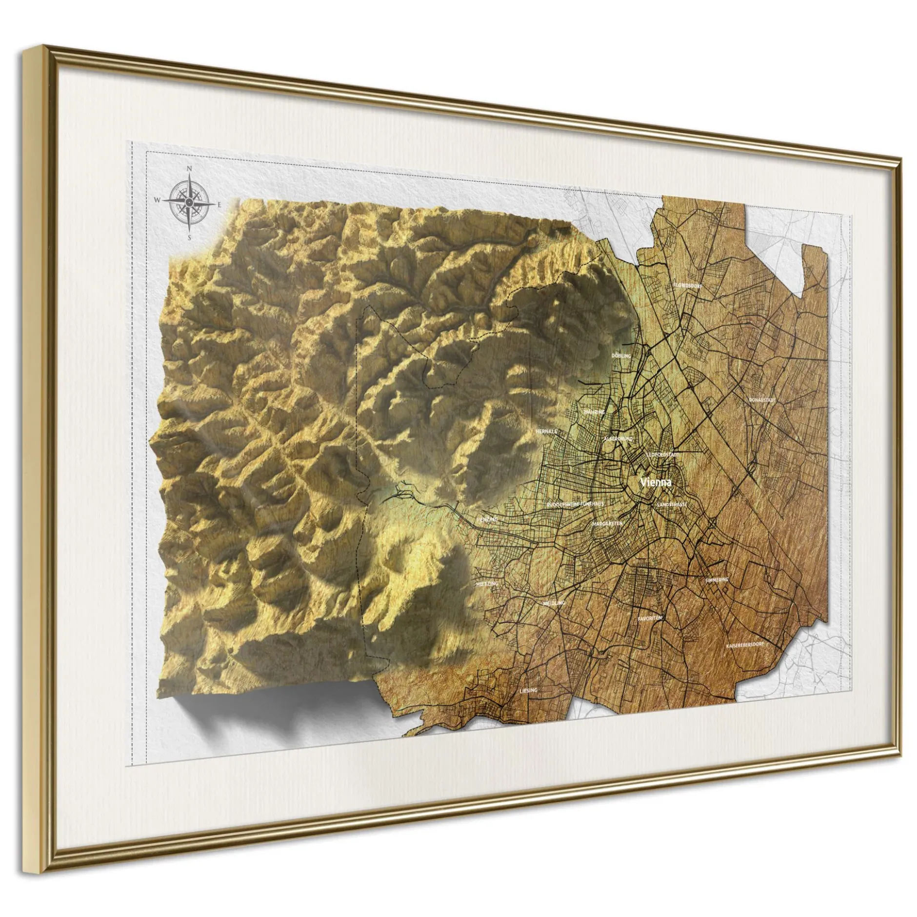 Poster 'Raised Relief Map: Vienna'