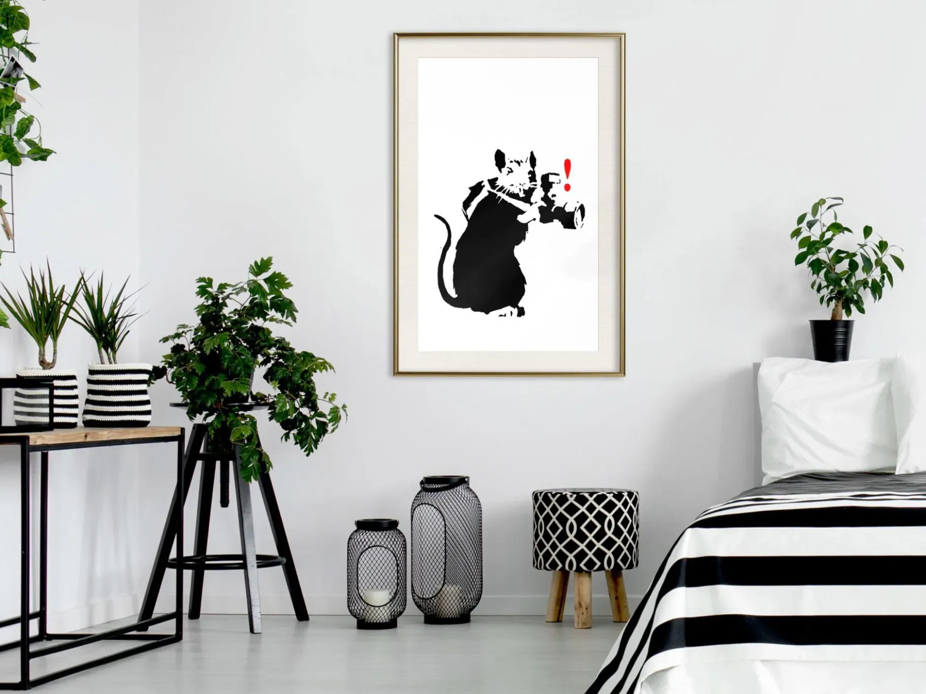 Poster 'Rat Photographer'