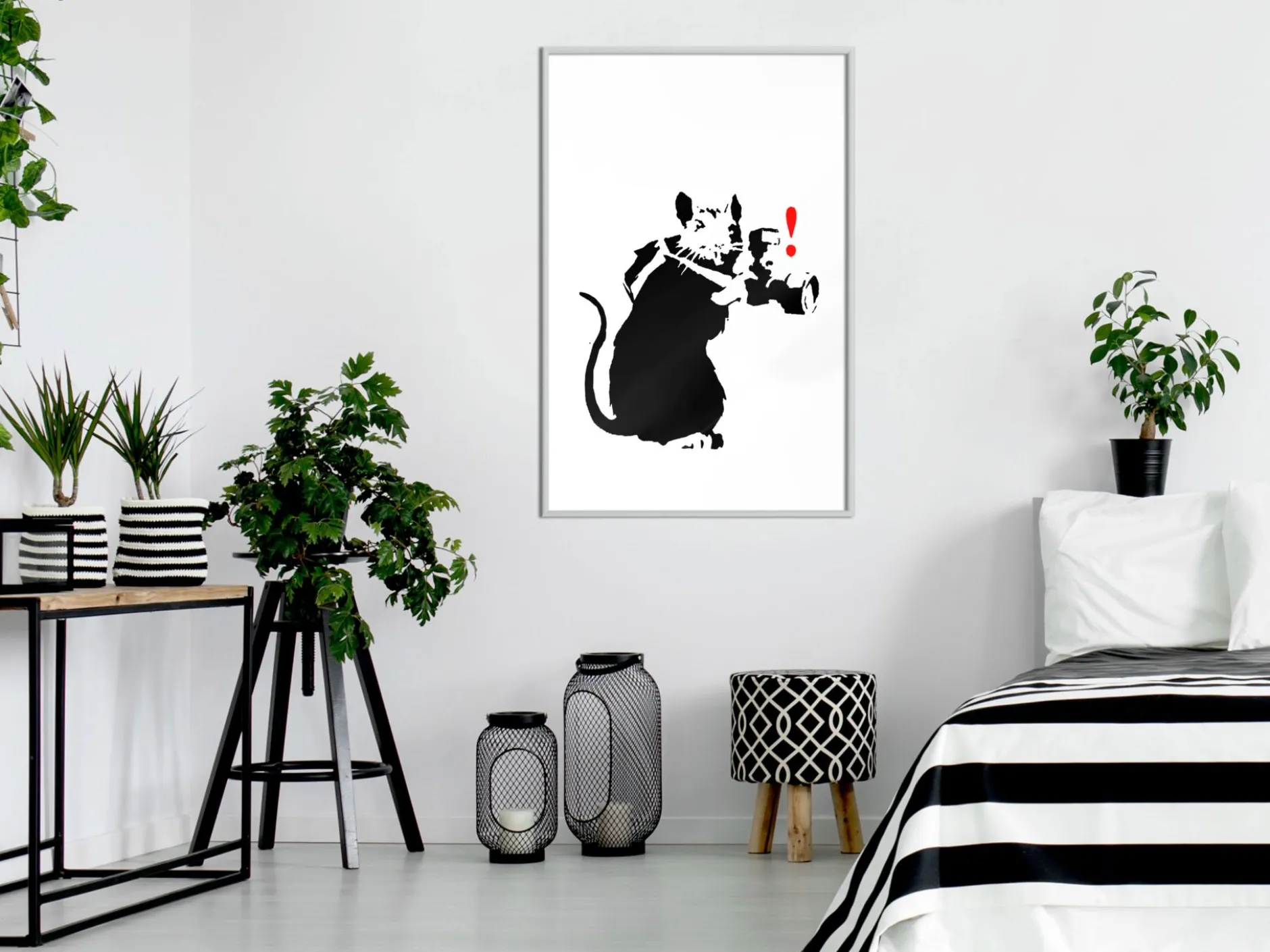 Poster 'Rat Photographer'