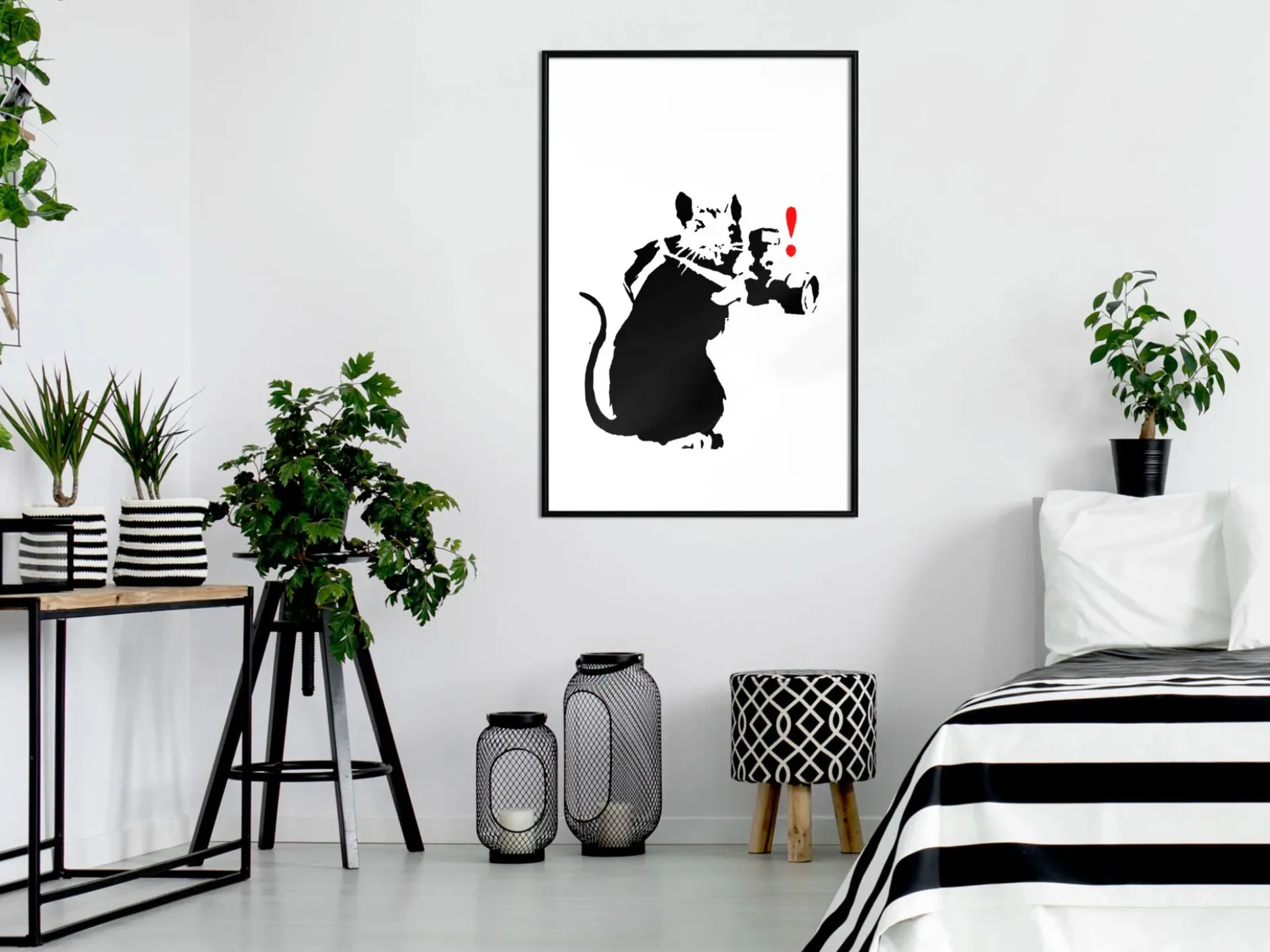 Poster 'Rat Photographer'