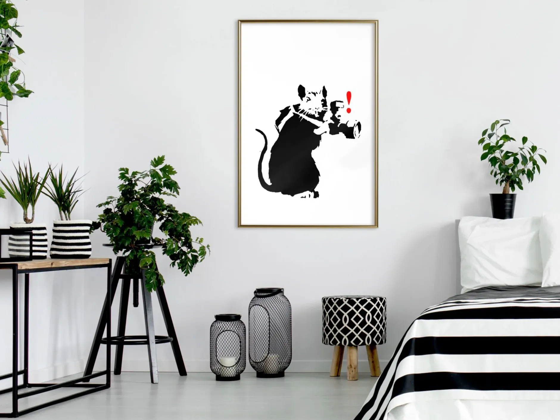 Poster 'Rat Photographer'