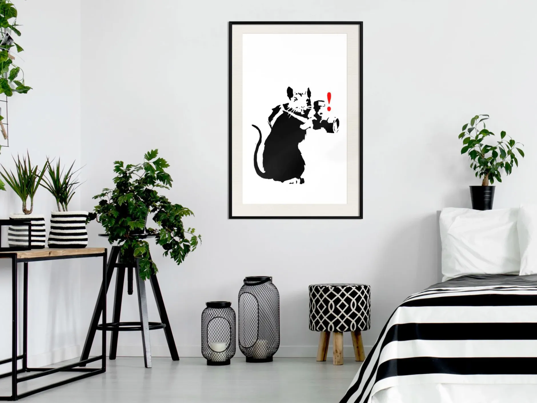 Poster 'Rat Photographer'