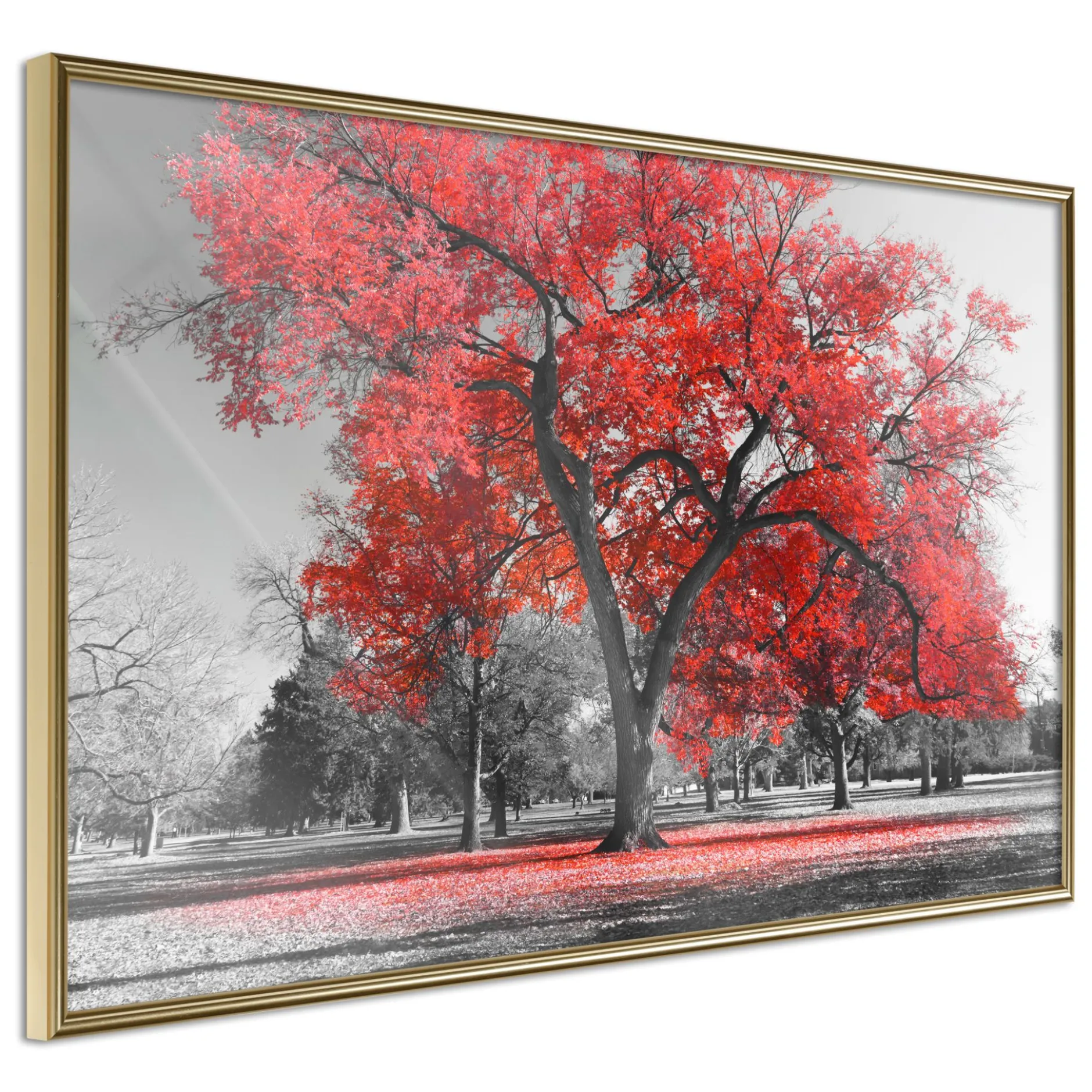 Poster 'Red Tree'