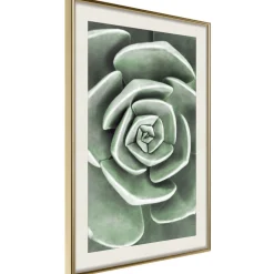 Poster 'Robust Plant'