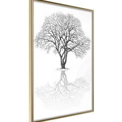 Poster 'Roots or Treetop?'