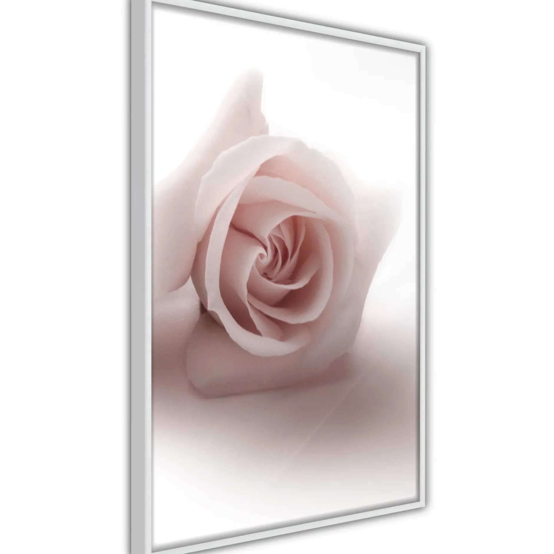 Poster 'Rosae Shadow'