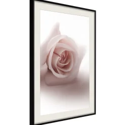 Poster 'Rosae Shadow'