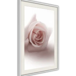 Poster 'Rosae Shadow'