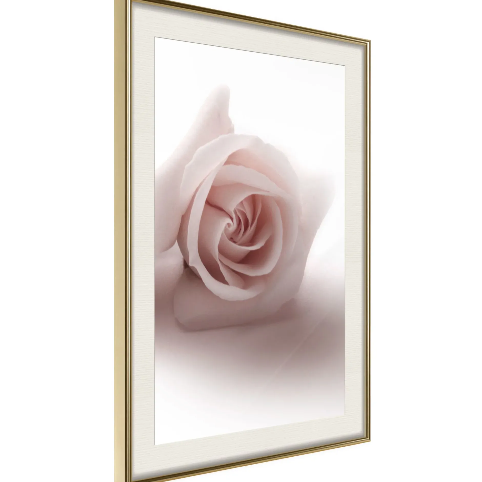 Poster 'Rosae Shadow'
