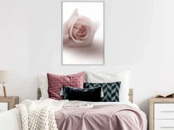 Poster 'Rosae Shadow'