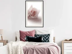 Poster 'Rosae Shadow'