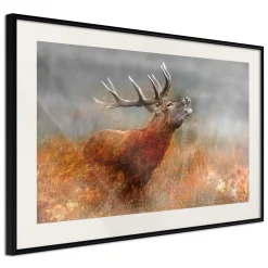 Poster 'Rut'
