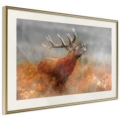 Poster 'Rut'