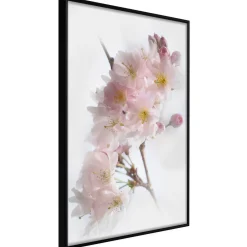 Poster 'Scent of Spring'