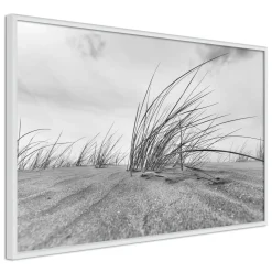 Poster 'Seaside Dunes'