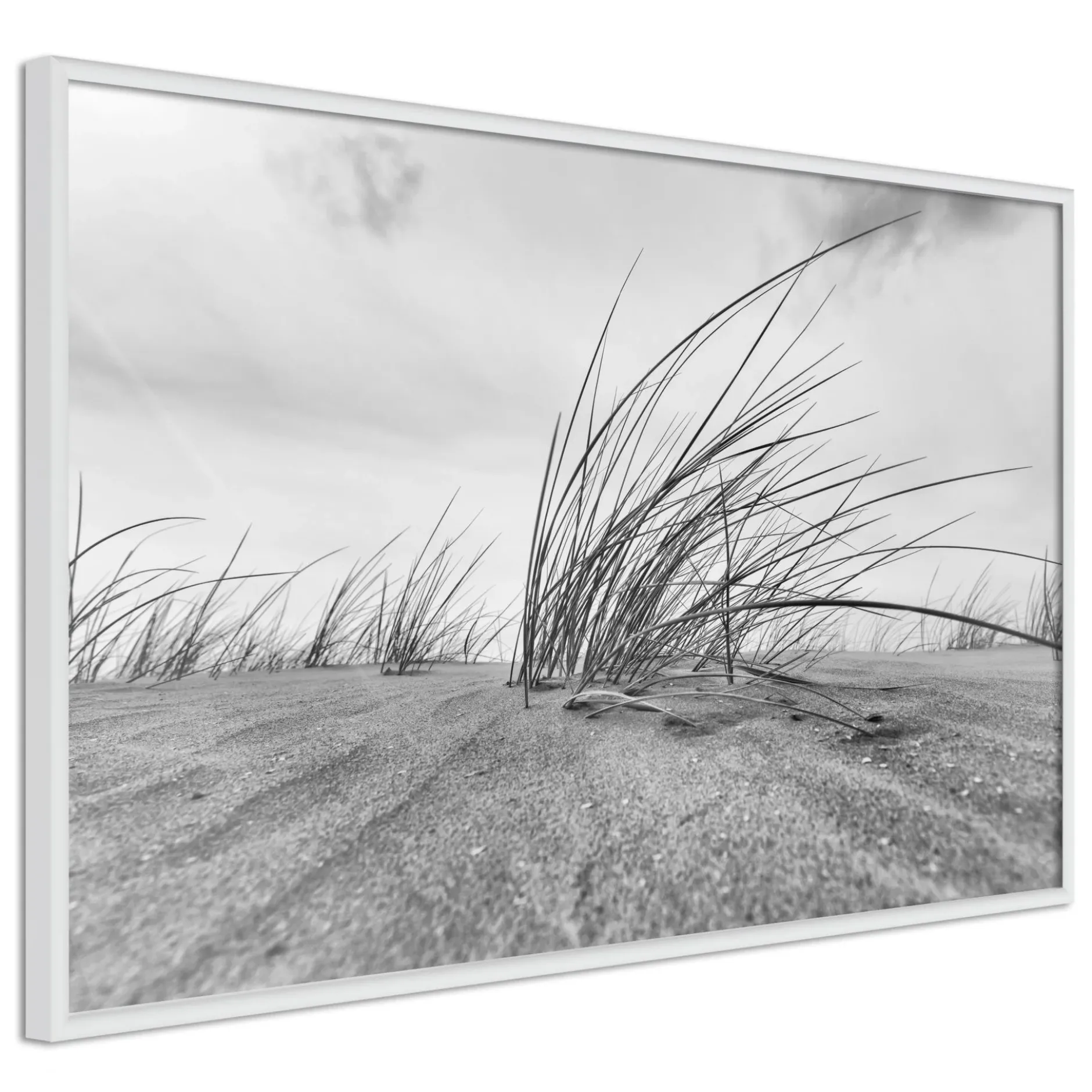Poster 'Seaside Dunes'
