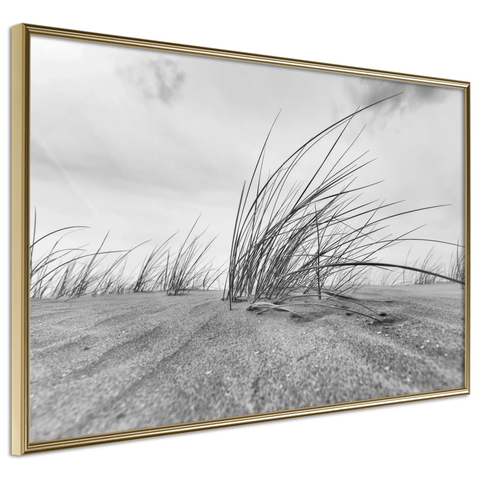 Poster 'Seaside Dunes'